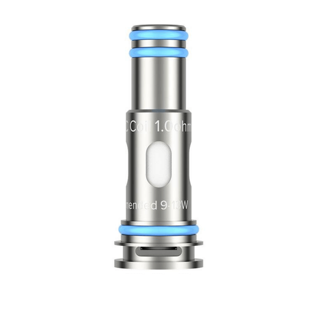 Résistance OX DVC 1.0ohm