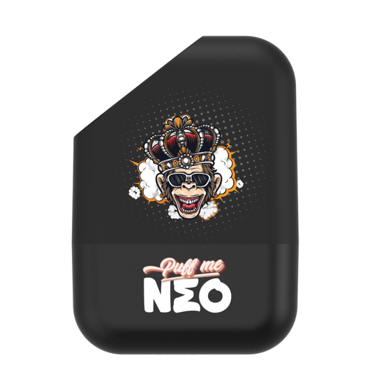 NEO PRO - Batterie